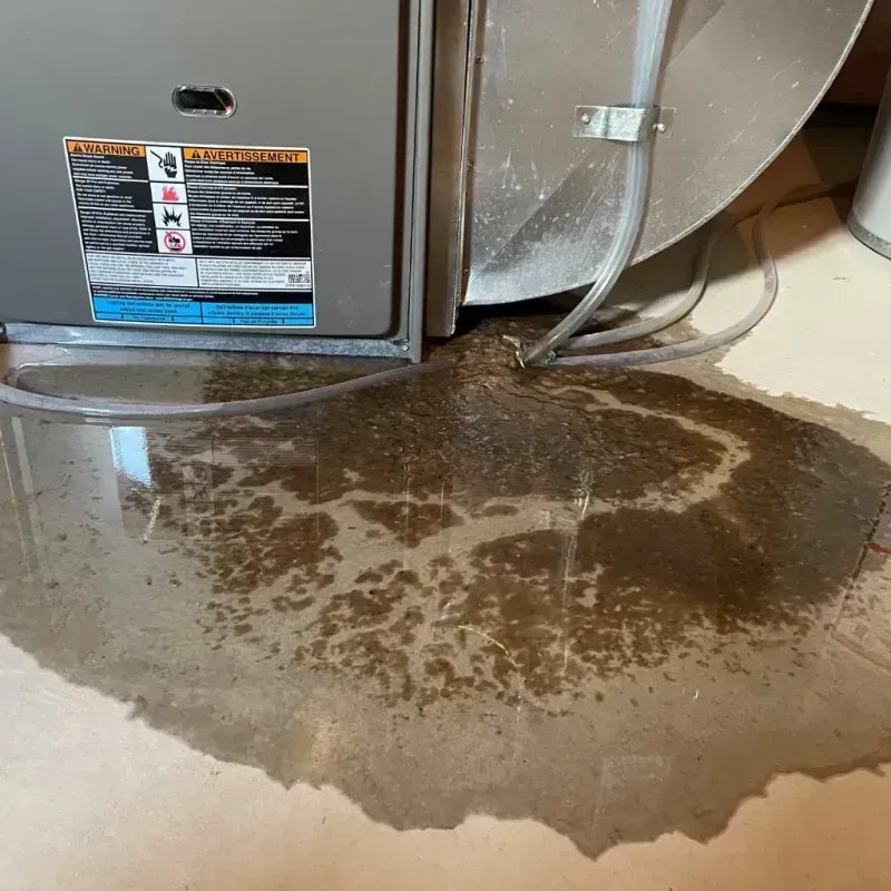 Appliance Leak Cleanup in Haverhill, FL